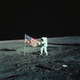 Image for article titled Man Bats on the Moon: The Possible Origin of Fake News Around the Lunar Landings